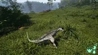 carno vs cera
