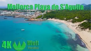 Mallorca Playa de S'Agulla 4K