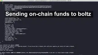 Boltz Channel Creation Swap Demo