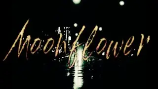 Moonflower - a Photo Roman