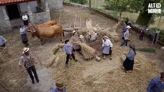 Miranda revive tradição ao recriar segada e malhada do centeio | Altominho TV