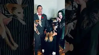 BEST Party Costume Ideas of 2025 Recap 🎉 | Holiday Themes, Creative Outfits & Iconic Viral Looks