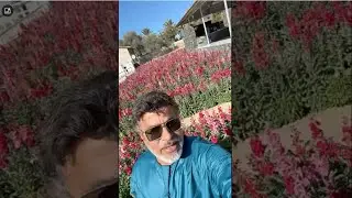 يوميات #خالد_الخالدي في أعسمة - راس الخيمة #اجمل_شتاء_في_العالم  24-1-2025