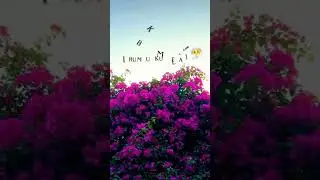 first time I saw my crush 🥰👰💞#love #whatsapp #status #shortsfeeds
