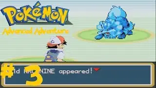 Blue Arcanine - Pokemon Advanced Adventures