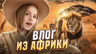VLOG | Африка - подарок Ирины от Миланы |