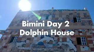 Bimini - Day 2 - Dolphin House - 2025