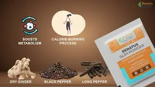 Renatus Slim Powder | Natural Support for Weight Management