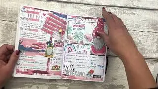 1st Quarter in my 2021 Passion Planner Daily - Flip Through