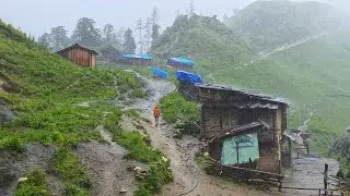 Rainy Day in The village Daily life | Most peaceful and relaxing mountain village | Hari Shahi |