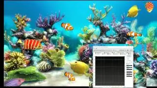 Sandisk SDHC 32GB review