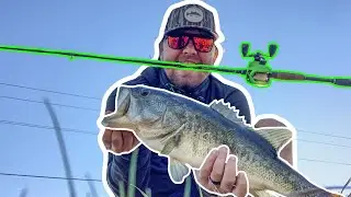 How to JUNKFISH for GIANTS (BIG BASS) !!!