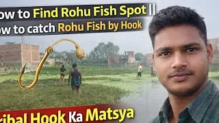 🎣 How to Find Rohu Fish Spot | How to Catch Rohu Fish by Hook  @MrBeast @souravjvlogs 