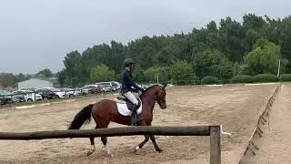 Louba Star Seizh Avel Lays étalons CCJP 4 ans CCE Vernoil Dressage 4 mai 2025