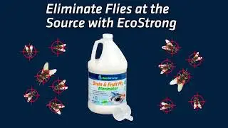 EcoStrong's Drain and Fruit Fly