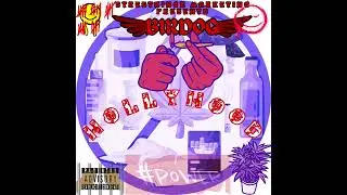 #skptv330 BIRDOG &ldquo;HollyHOOD&rdquo; #hiphop #newmusic