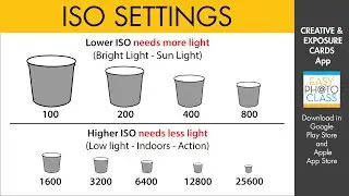 ISO SETTINGS QUICK REFERENCE CARDS - See visually how High ISO helps you shoot in low light.