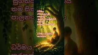 #dhamma #dhammatalk #dhammaforlife #artoflife #buddhistteaching #buddhistphilosophy
