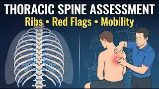 Mid-Back Pain Explained | Thoracic Spine & Rib Cage Clinical Assessment