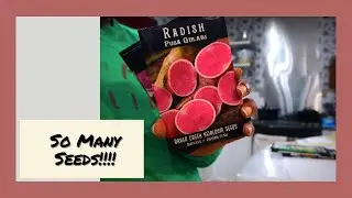 HUGE Garden Haul| Seeds, GREENSTALK, Storage