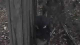 The Chad Show: Hibernation