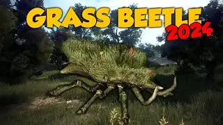 Black Desert Grass Beetle Guide 2025 - Black Desert Online - BDO Yeet