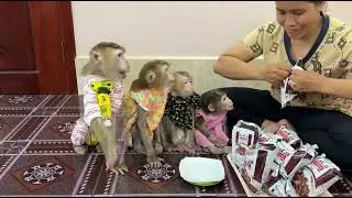 4 Siblings Sit Very Obediently & Excited While Mom Prepare Chocolate Cereal For Them To Eat ,