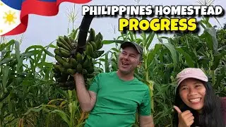 Homestead Update Philippines Couple Vlog
