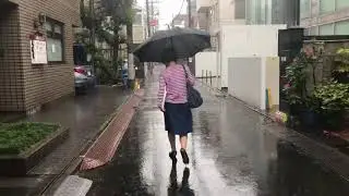 Heavy Rain in Tokyo, Japan