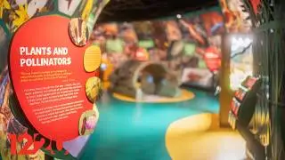 Audubon Insectarium in New Orleans, Louisiana