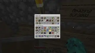 New Guy (Maybe Temp maybe Perm?) | TommySMP