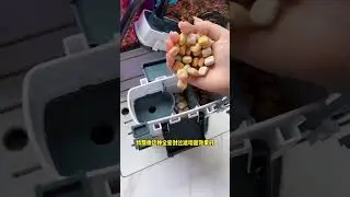 壁挂小书包鱼缸过滤器，使用方便节省空间，效果还是不错的 #壁挂过滤器 #鱼缸过滤 #养鱼日记