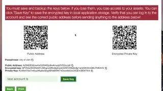 Neon Wallet 0.0.5: encrypted keys and saved accounts