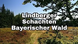 Lindberger Schachten - (Bayerischer Wald) 2020