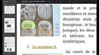 COURS SPE12 MORPHO CHAPITRE 3 ET 4 2026 BY ILAN ETAN
