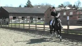 British Riding Clubs Training Video with Donald Kear - Riding Test