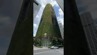 Best Asia Hotel