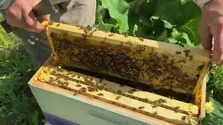 Eighth video in series.