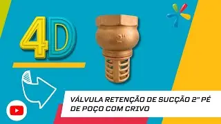 Um 4D de V&aacute;lvula Reten&ccedil;&atilde;o de Suc&ccedil;&atilde;o 2