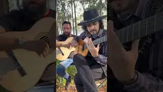 3 Pagode de Viola com O MAGO da VIOLA