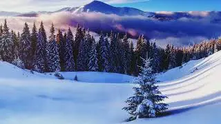 Beautiful Relaxing Music For Stress Relief - Meditation Music - Sleep Music -Ambient - Study Music