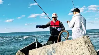 OFF THE ROCKS FISHING/ LOTS OF TAILOR ###@kidmarino