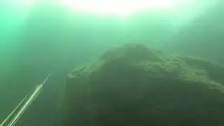 Pesca i Apnea : Cattura Saragone all'aspetto nel torbido
