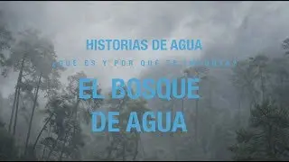 El Bosque de Agua | Historias de agua