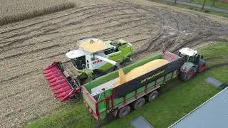 ABGESOFFEN! LEXION 770 SPEZIAL, Fendt, Strautmann - Mais dreschen/ Threshing corn /  graan maïsoogst