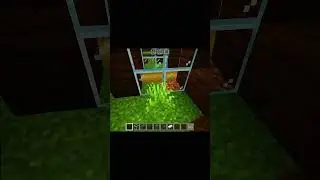 Mini Zoo Build for Minecraft 😁
