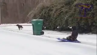 DANNERIUM: YOU KNOW YOU DONE FUGGED UP BUMPER SLEDDING ON GARBAGE DAY
