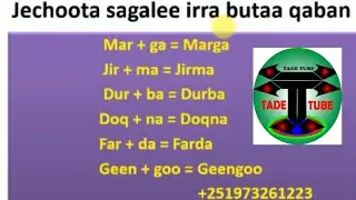 Kutaa 11ffaa