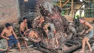 No Safety Shoes, Just Pure Skill Cutting Massive Tree Stump