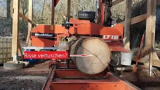 Dicke Oliv-Esche quatär – einfacher Quatierschnitt mit dem Sägewerk!